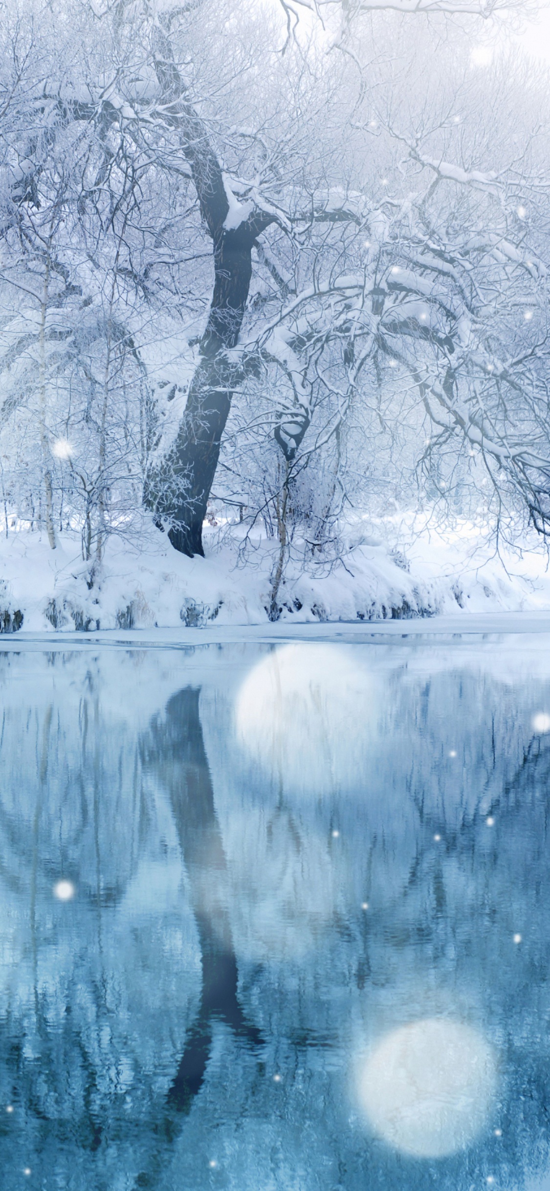 Arbre Sans Feuilles Sur Sol Couvert de Neige. Wallpaper in 1125x2436 Resolution