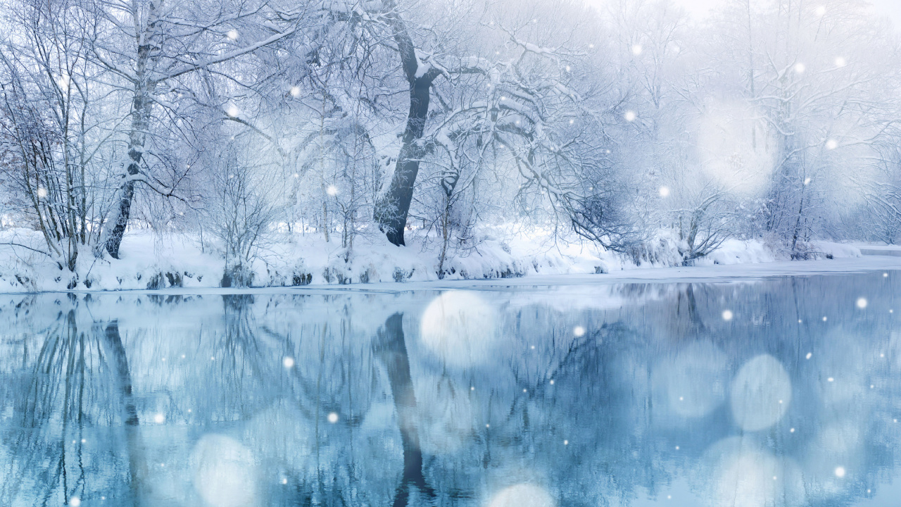 Arbre Sans Feuilles Sur Sol Couvert de Neige. Wallpaper in 1280x720 Resolution