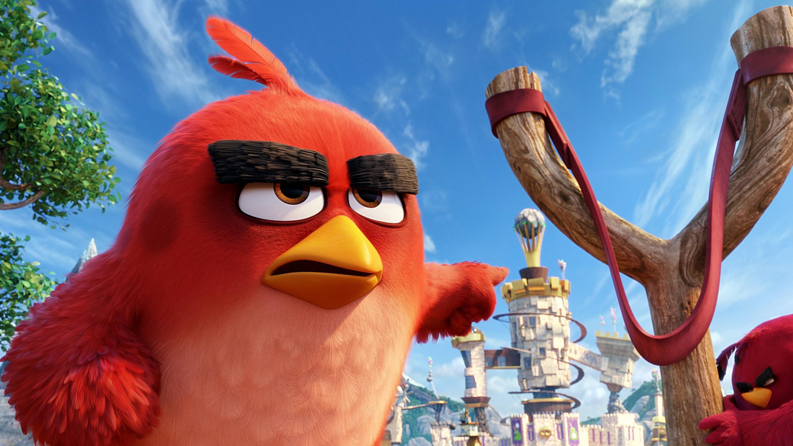 The Angry Birds Movie HD. Wallpaper in 2560x1440 Resolution