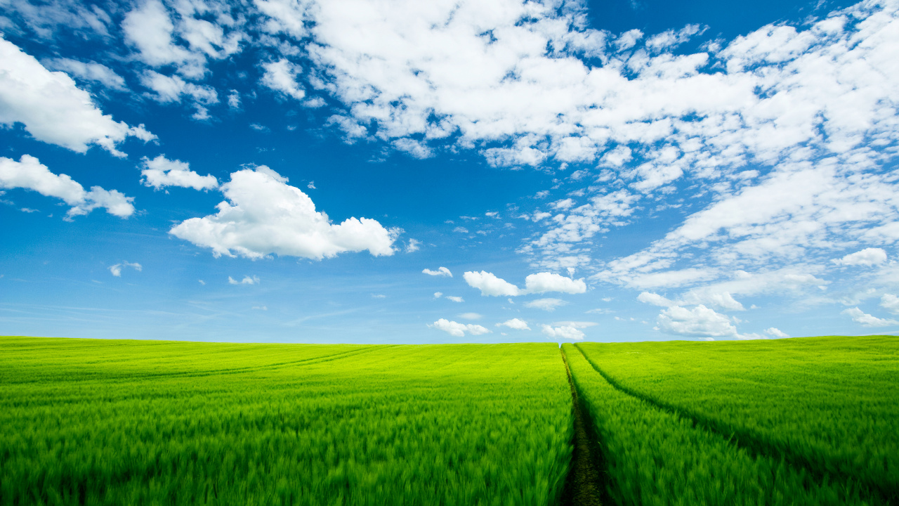 Green Grass Field Under Blue Sky and White Clouds During Daytime. Wallpaper in 1280x720 Resolution