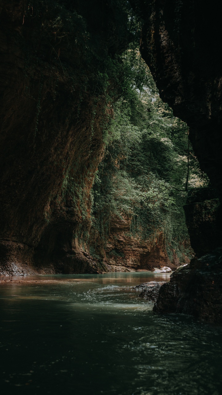 Rock, Formation, Forêt, Géologie, Grotte. Wallpaper in 720x1280 Resolution