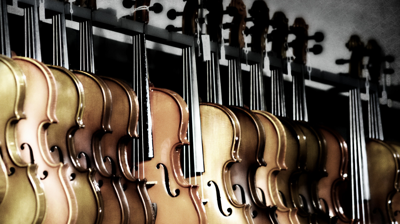 Bass Guitar, Instrumento de Cuerda, Guitarra, Instrumento Musical, Instrumentos de Cuerda Pulsada. Wallpaper in 1366x768 Resolution