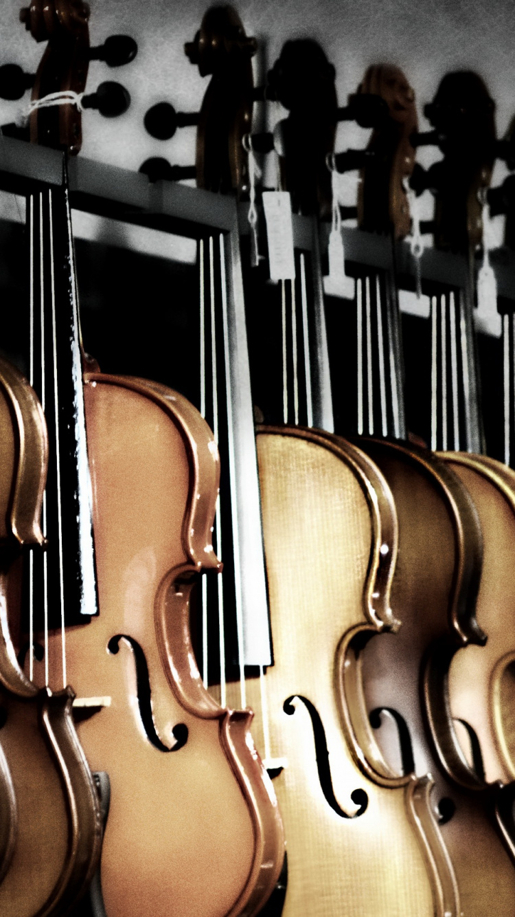 Violin, Bass Guitar, String Instrument, Guitar, Musical Instrument. Wallpaper in 750x1334 Resolution