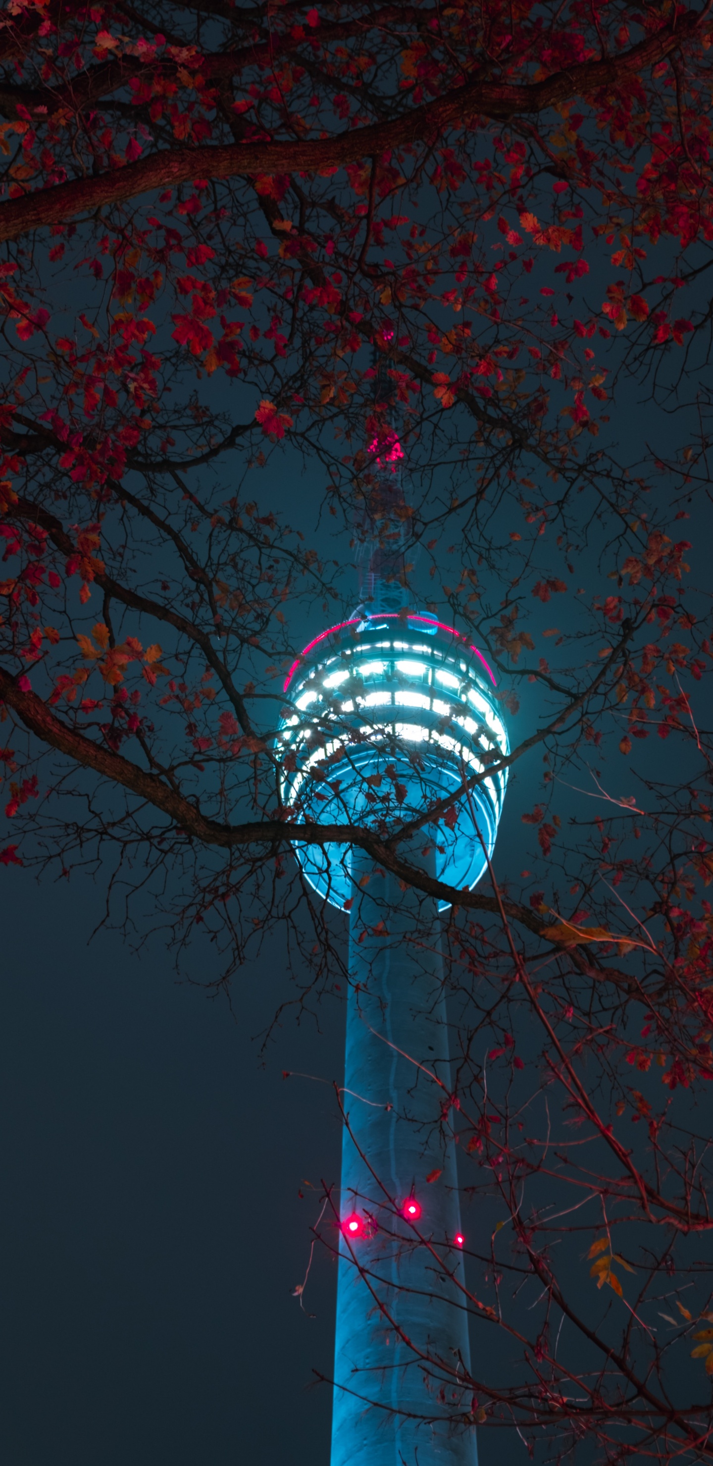 Rote Und Schwarze Bäume Mit Lichterketten. Wallpaper in 1440x2960 Resolution