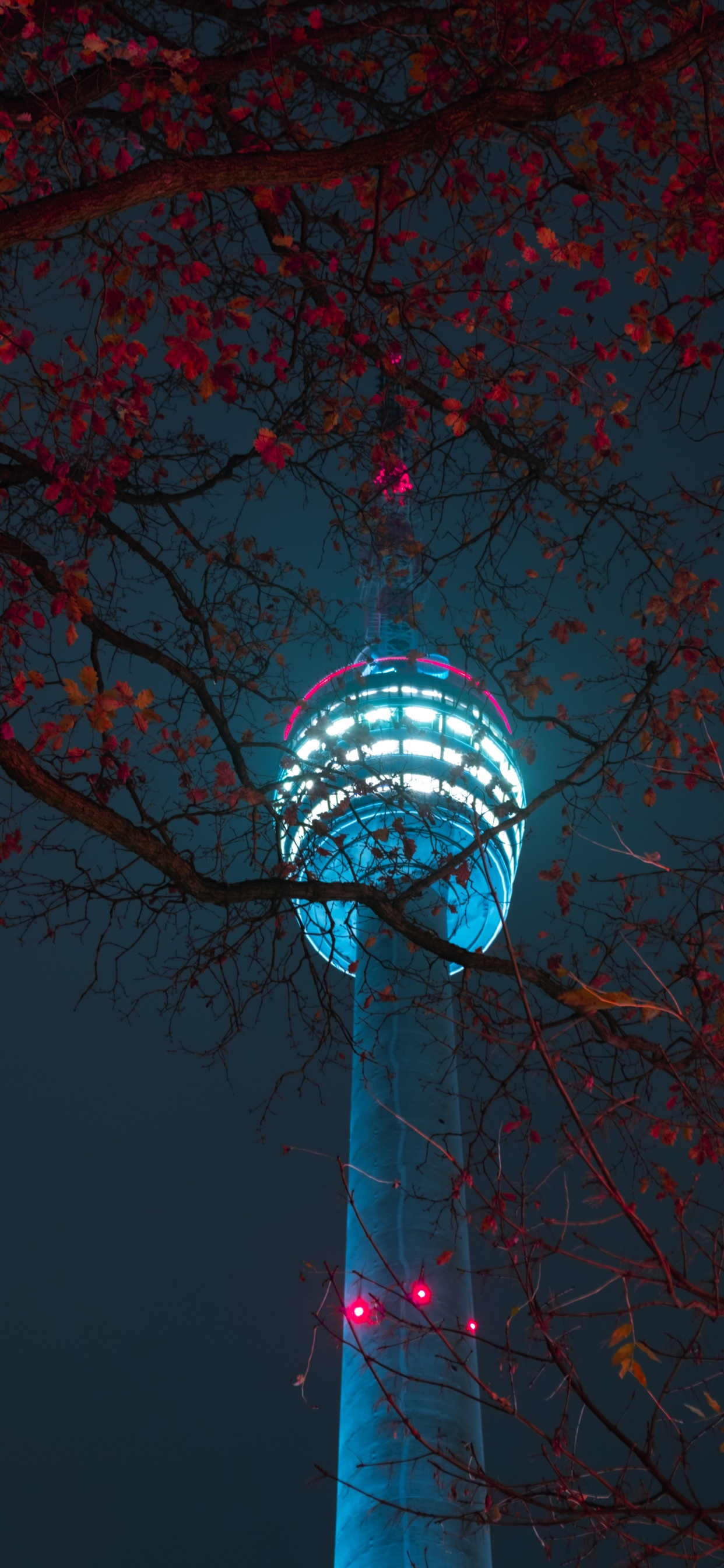 Red and Black Trees With String Lights. Wallpaper in 1242x2688 Resolution