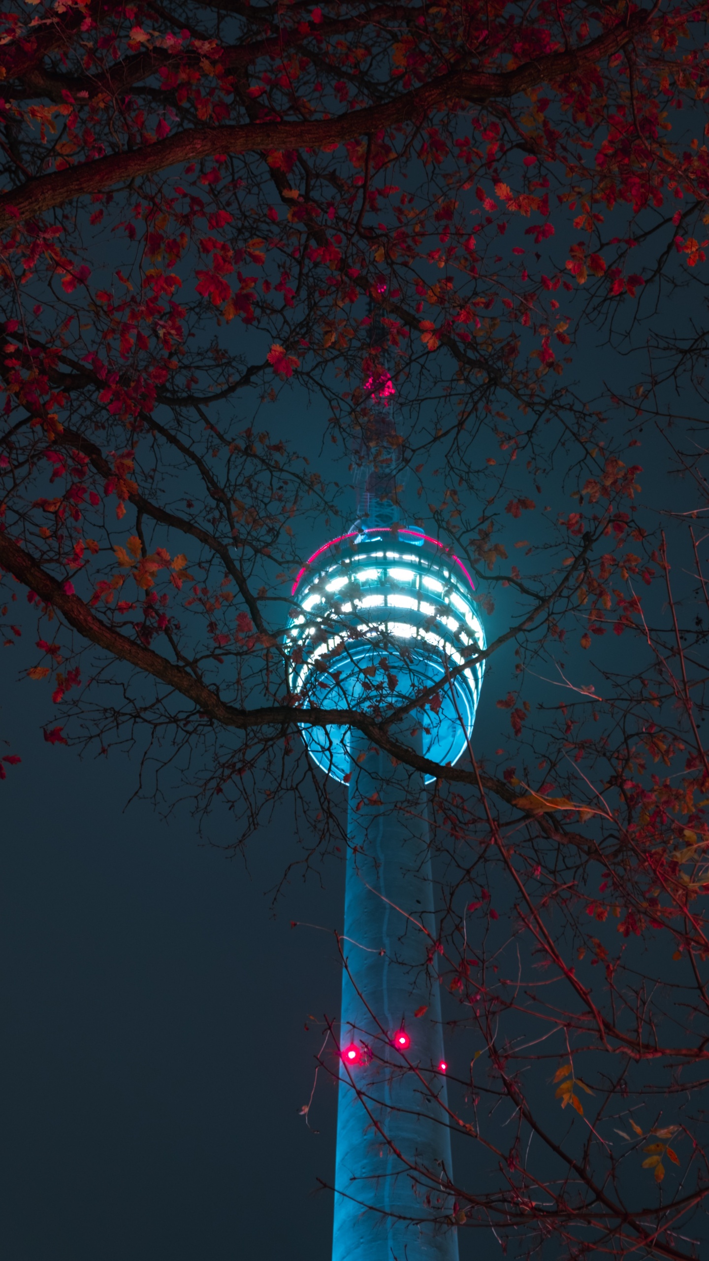 Red and Black Trees With String Lights. Wallpaper in 1440x2560 Resolution