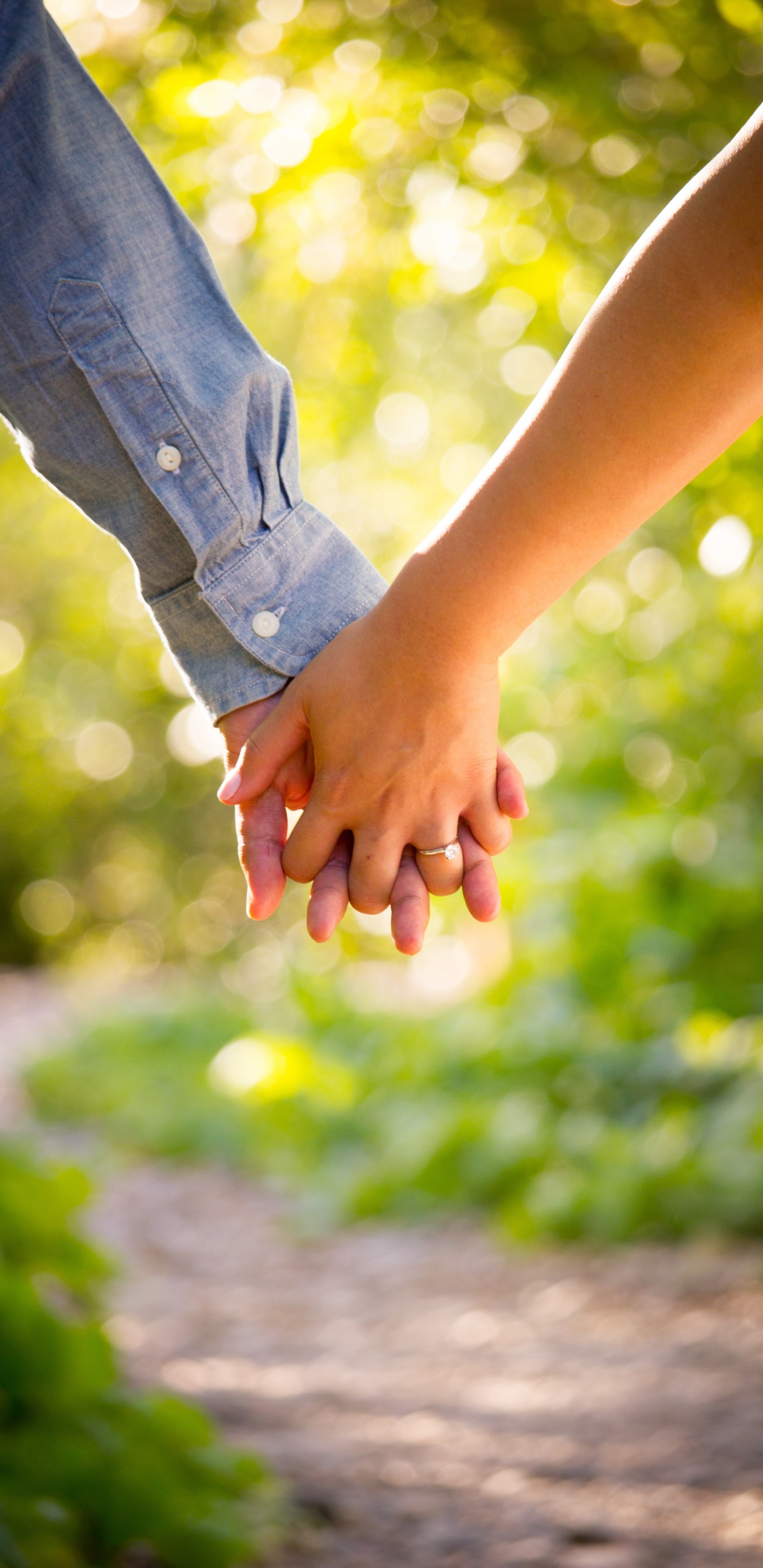 Holding Hands, People in Nature, Hand, Gesture, Tree. Wallpaper in 1440x2960 Resolution