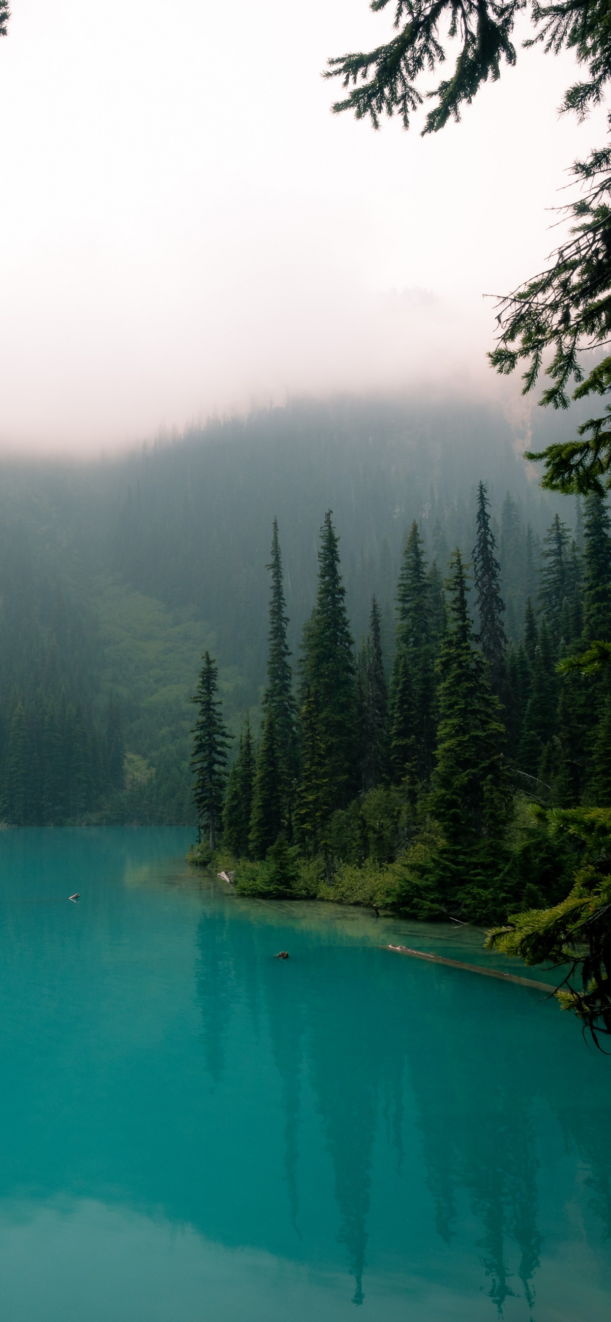 Corps de L'eau, Nature, Paysage Naturel, Eau, Les Ressources en Eau. Wallpaper in 1242x2688 Resolution