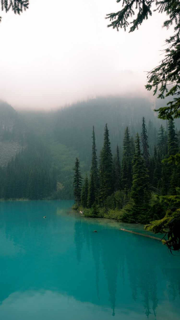 Corps de L'eau, Nature, Paysage Naturel, Eau, Les Ressources en Eau. Wallpaper in 750x1334 Resolution