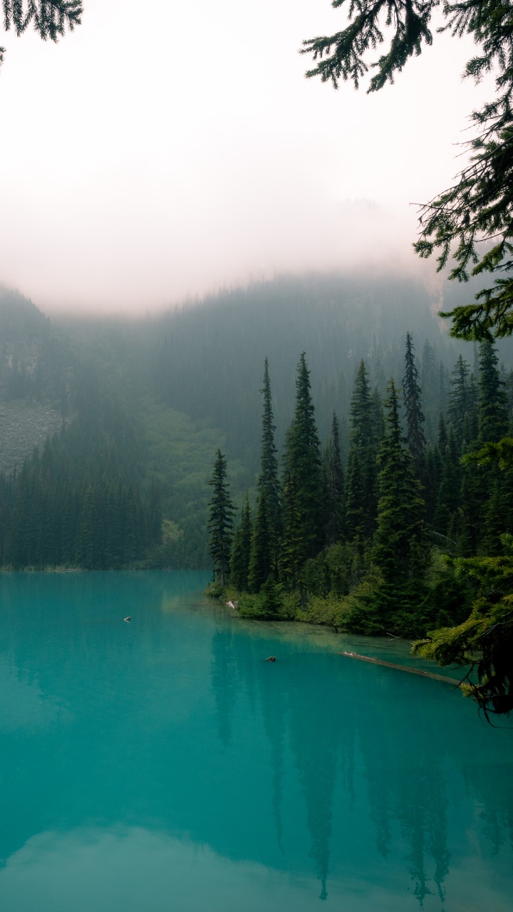 Body of Water, Nature, Natural Landscape, Water, Water Resources. Wallpaper in 720x1280 Resolution