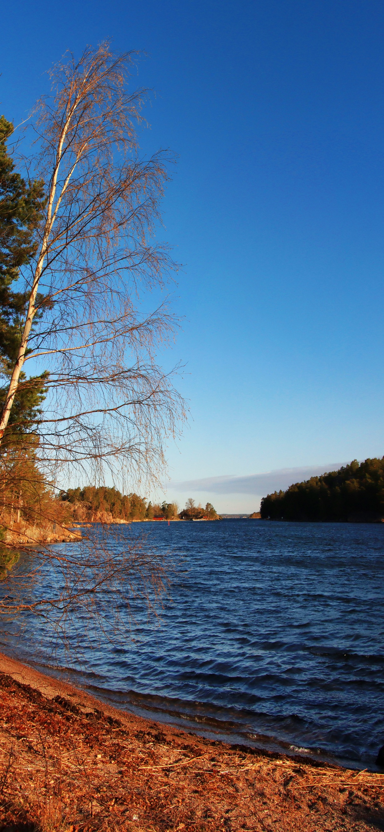 Agua, Los Recursos de Agua, Paisaje Natural, Highland, Lago. Wallpaper in 1242x2688 Resolution
