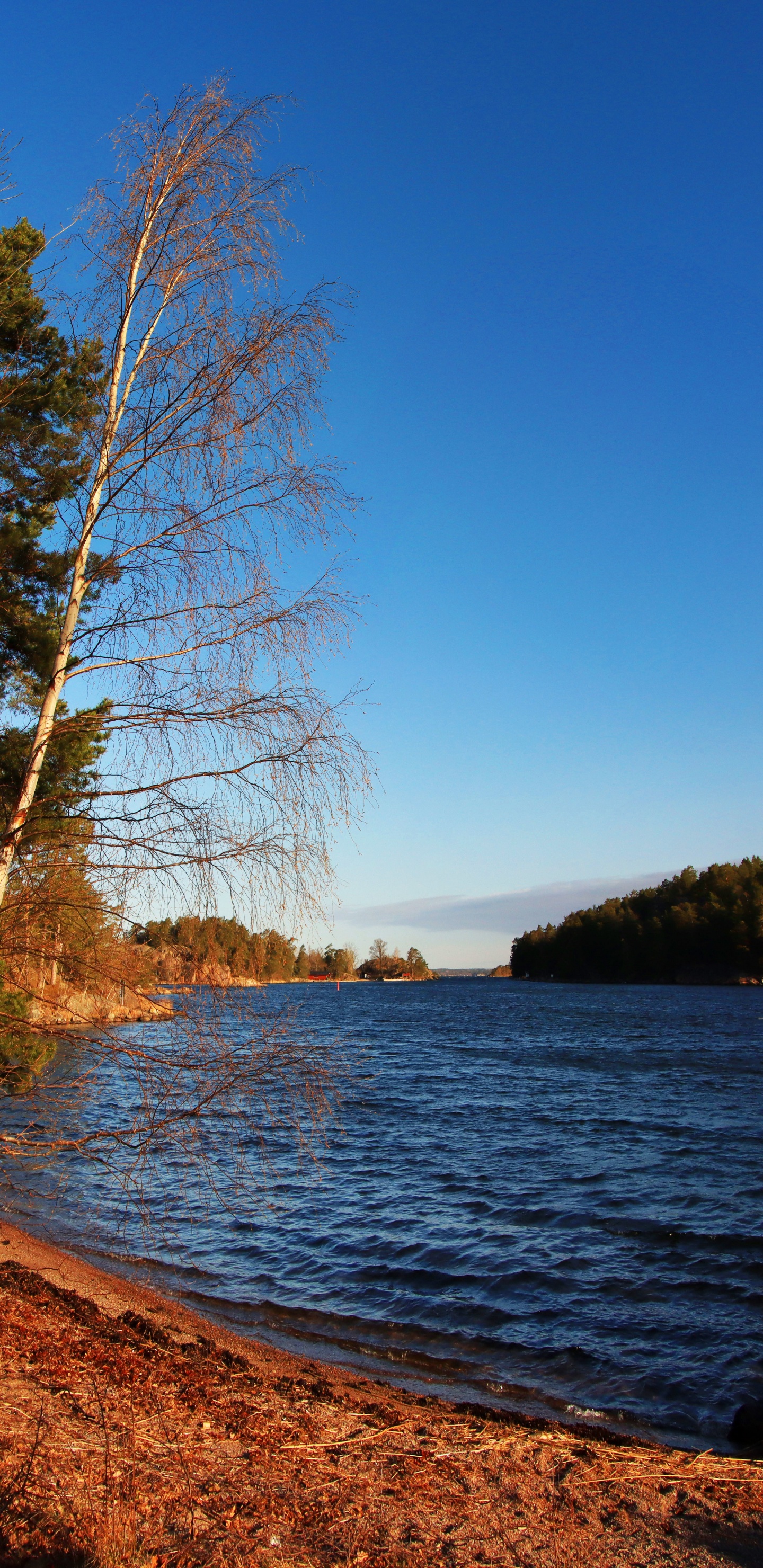 Water, Water Resources, Plant, Natural Landscape, Highland. Wallpaper in 1440x2960 Resolution
