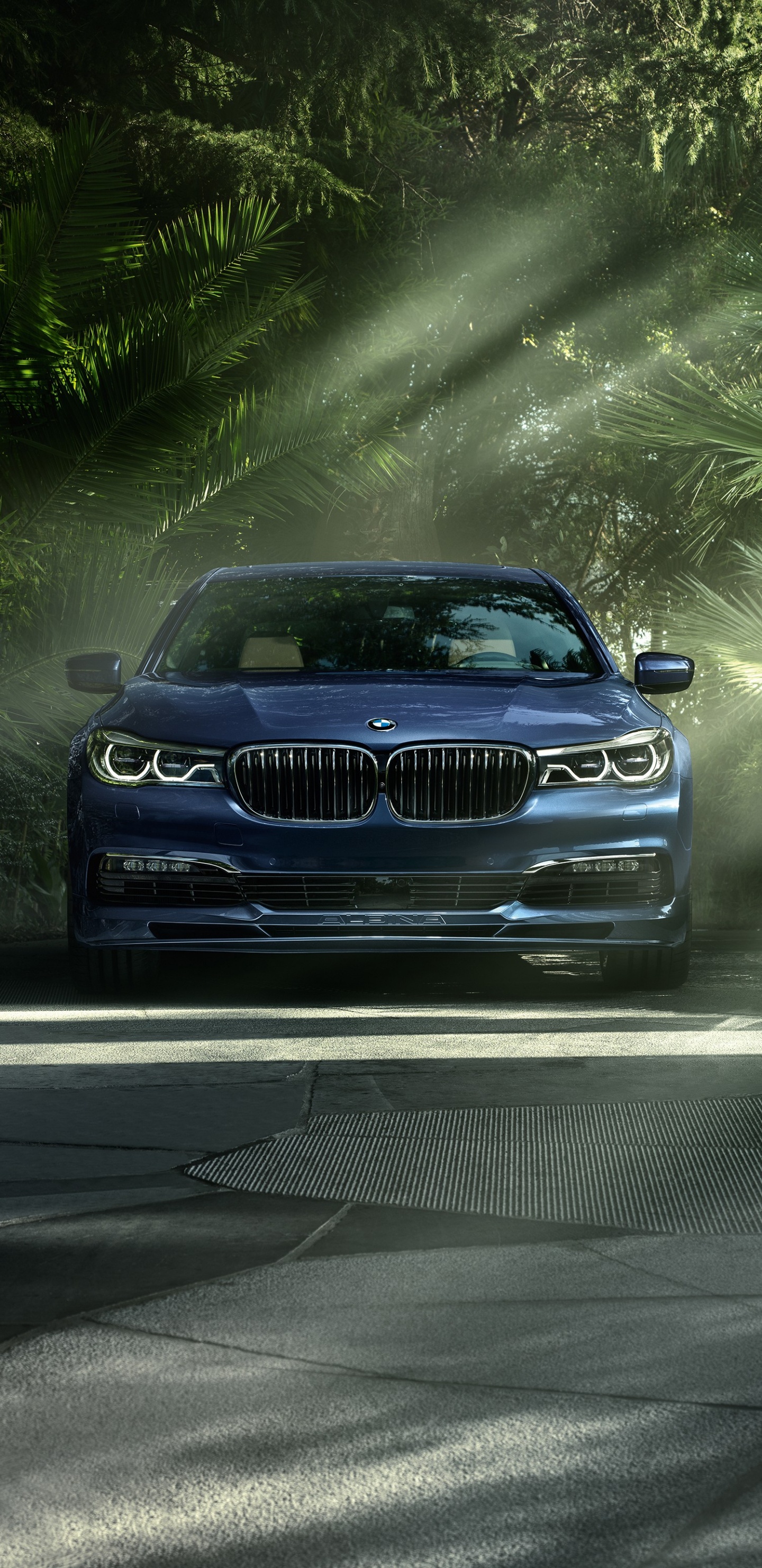 Blauer Bmw m 3 Unterwegs. Wallpaper in 1440x2960 Resolution