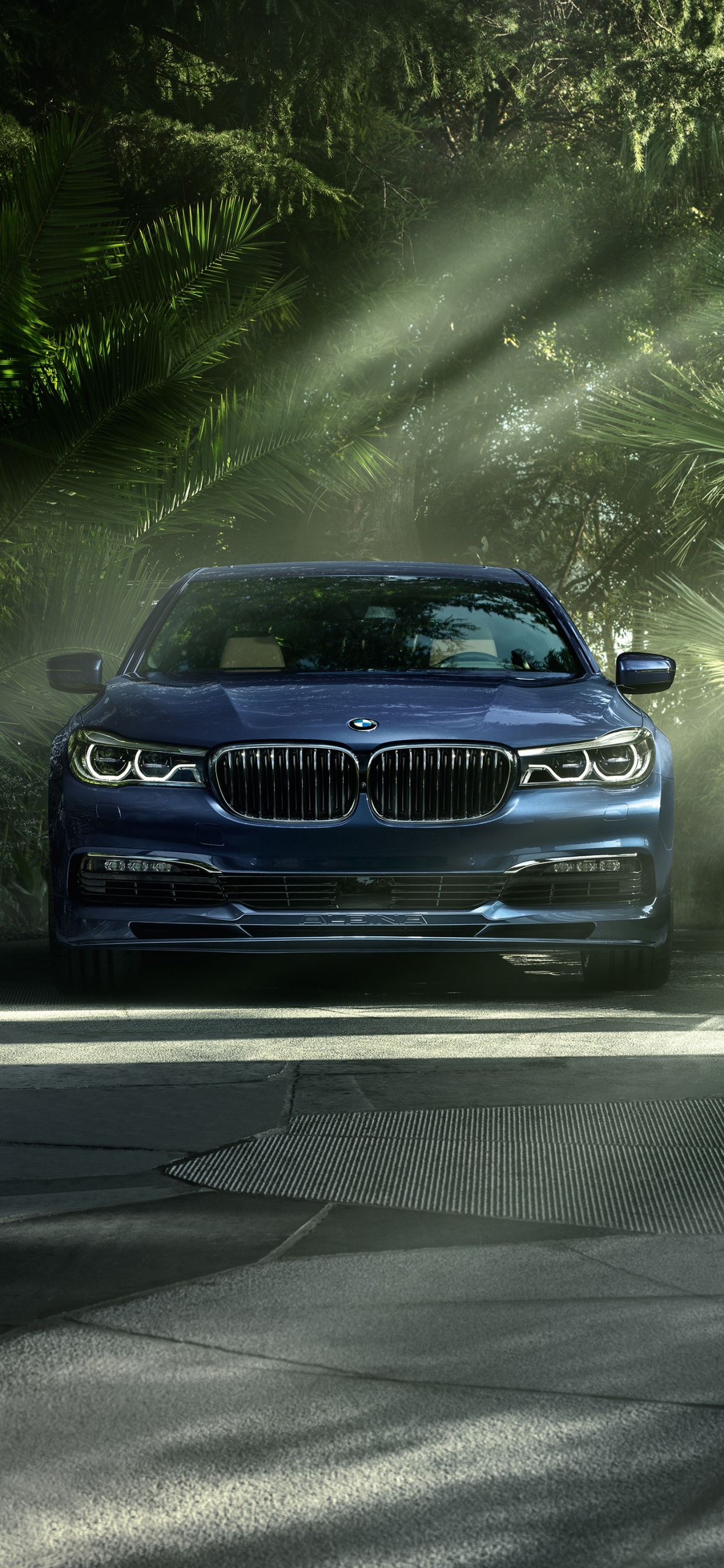 Bmw m 3 Azul en la Carretera. Wallpaper in 1242x2688 Resolution