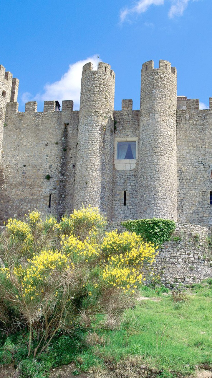 Château en Béton Brun Sous Ciel Bleu Pendant la Journée. Wallpaper in 720x1280 Resolution