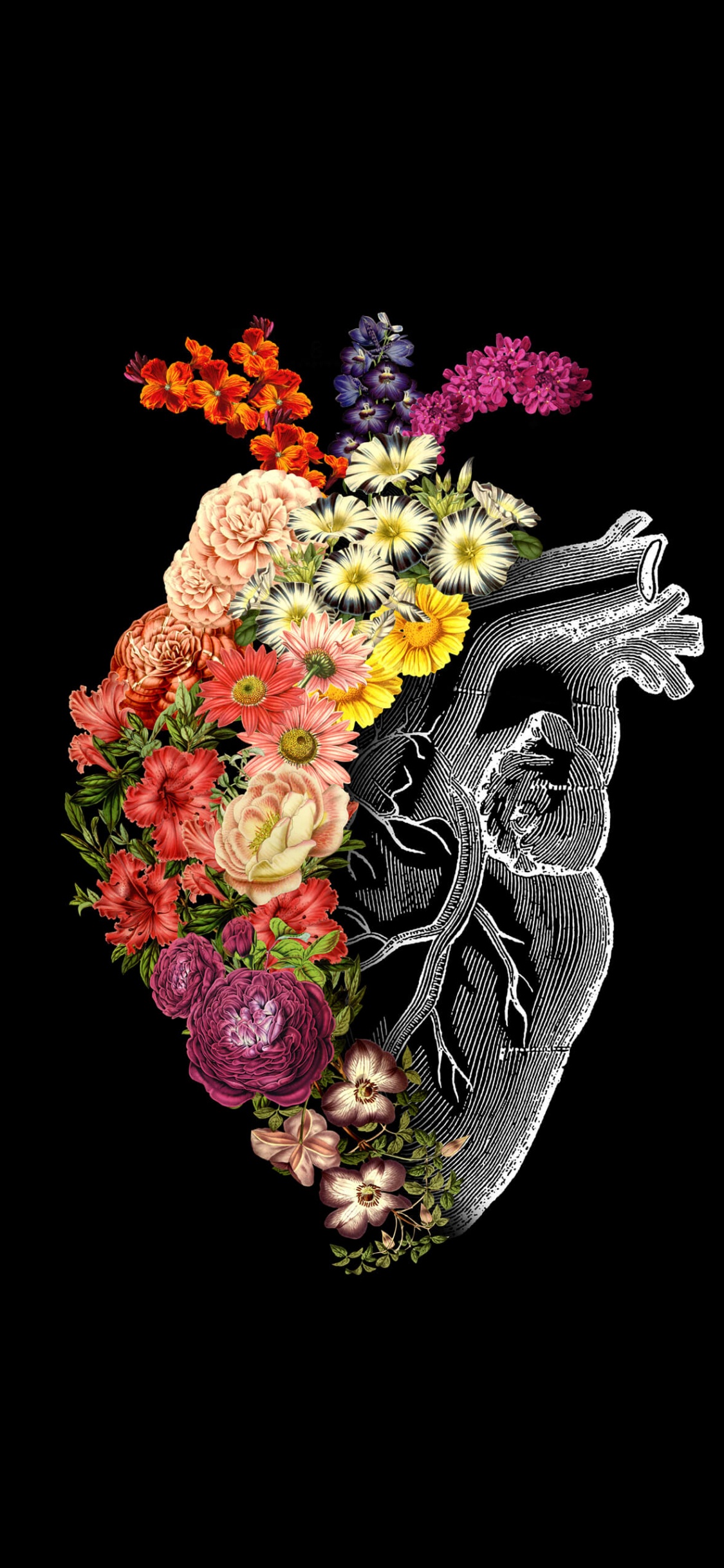 艺术, 心脏, 创造性的艺术, 珠宝, 花安排 壁纸 1125x2436 允许