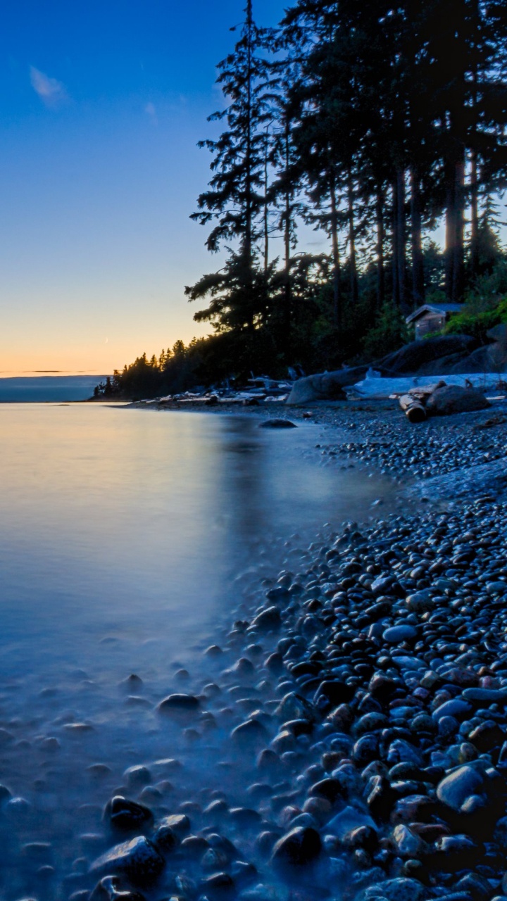 Body of Water Near Trees During Sunset. Wallpaper in 720x1280 Resolution