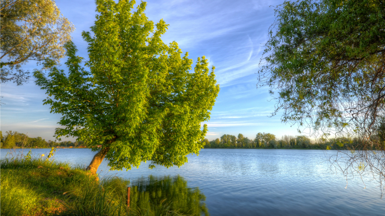 Grüne Bäume am See Unter Blauem Himmel Tagsüber. Wallpaper in 1280x720 Resolution