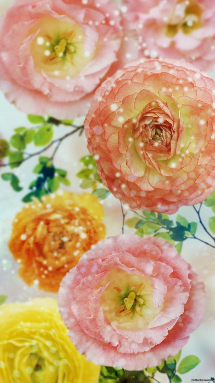 Yellow and Pink Flowers Painting. Wallpaper in 750x1334 Resolution