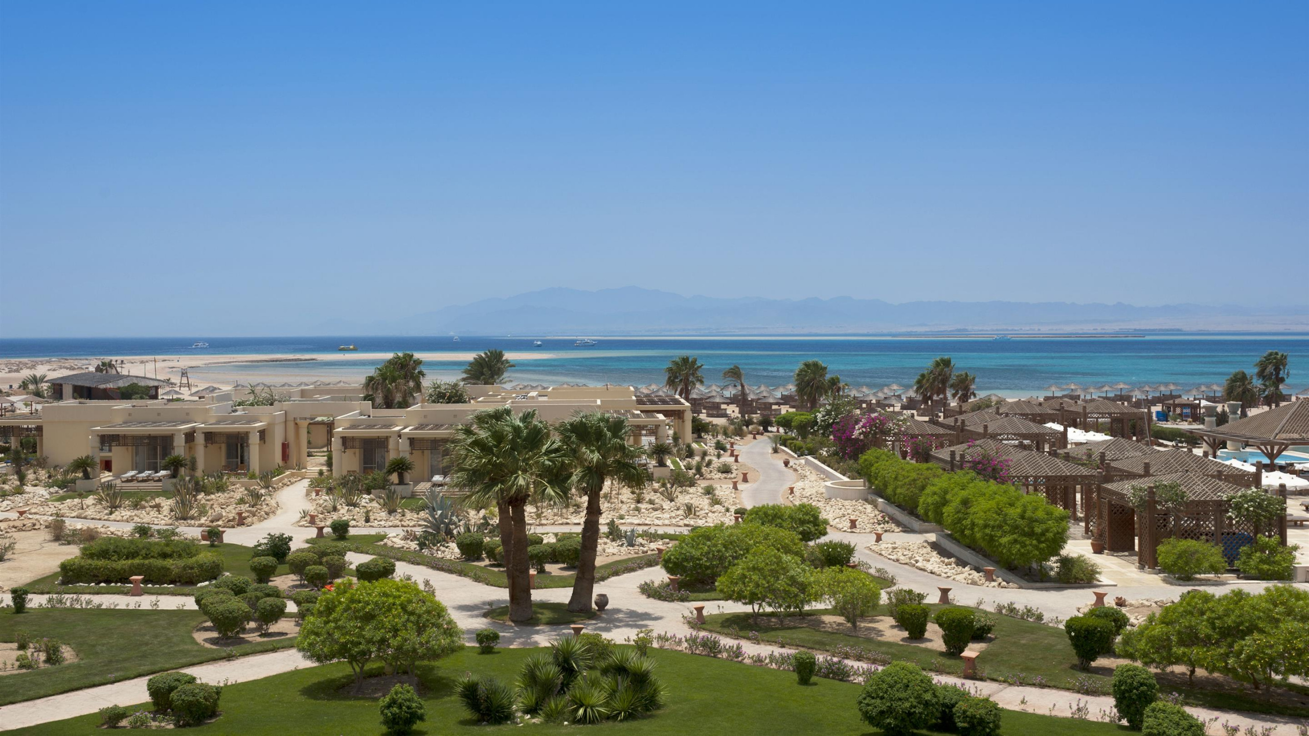 Árboles Verdes Cerca Del Cuerpo de Agua Durante el Día. Wallpaper in 2560x1440 Resolution