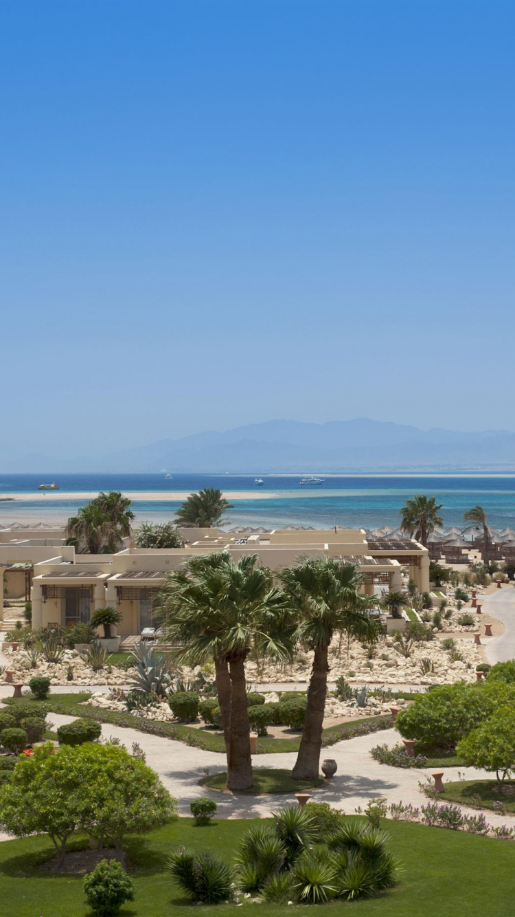 Árboles Verdes Cerca Del Cuerpo de Agua Durante el Día. Wallpaper in 750x1334 Resolution