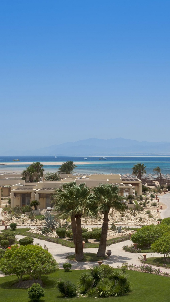 Grüne Bäume in Der Nähe Von Gewässern Tagsüber Water. Wallpaper in 720x1280 Resolution