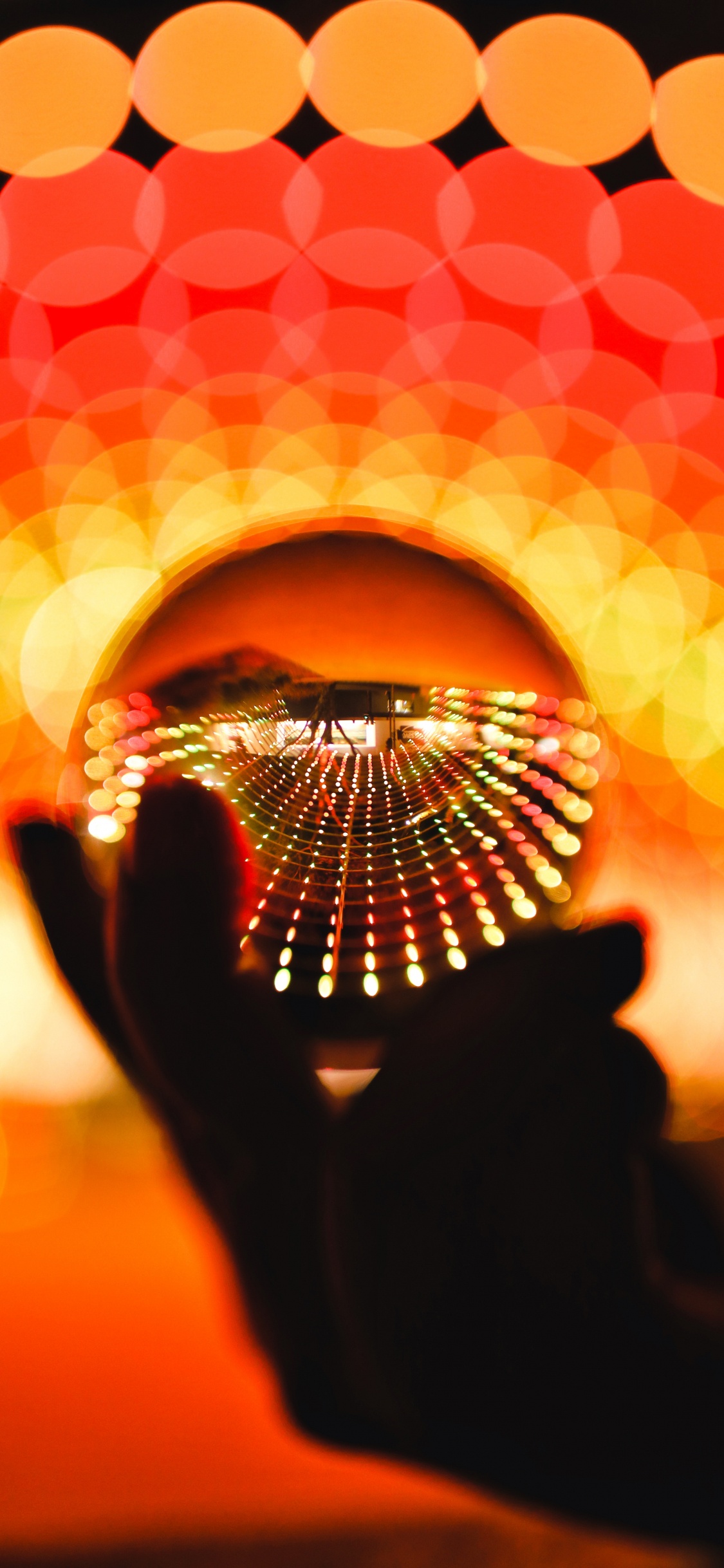 Person Holding a Clear Glass Ball. Wallpaper in 1125x2436 Resolution