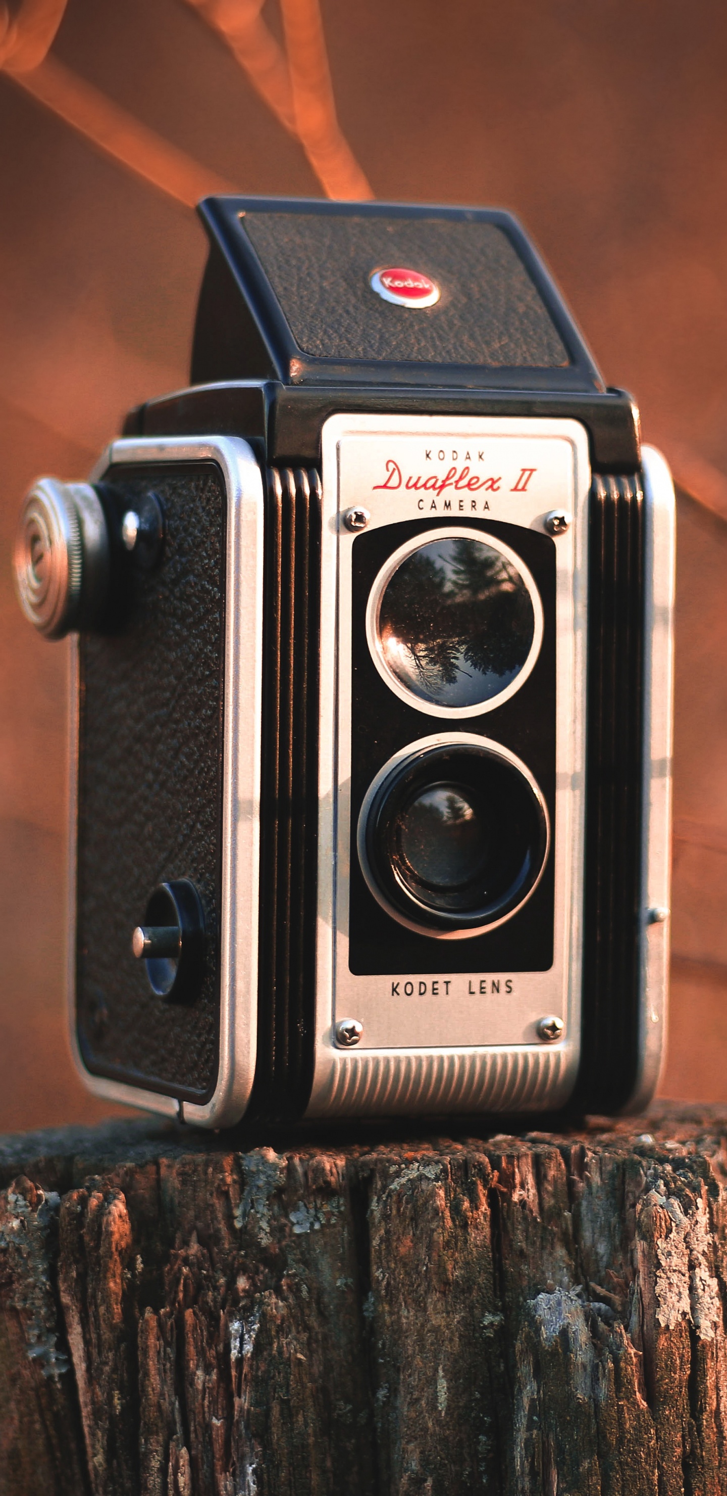 Cámara Negra y Plateada Sobre Tronco de Madera Marrón. Wallpaper in 1440x2960 Resolution