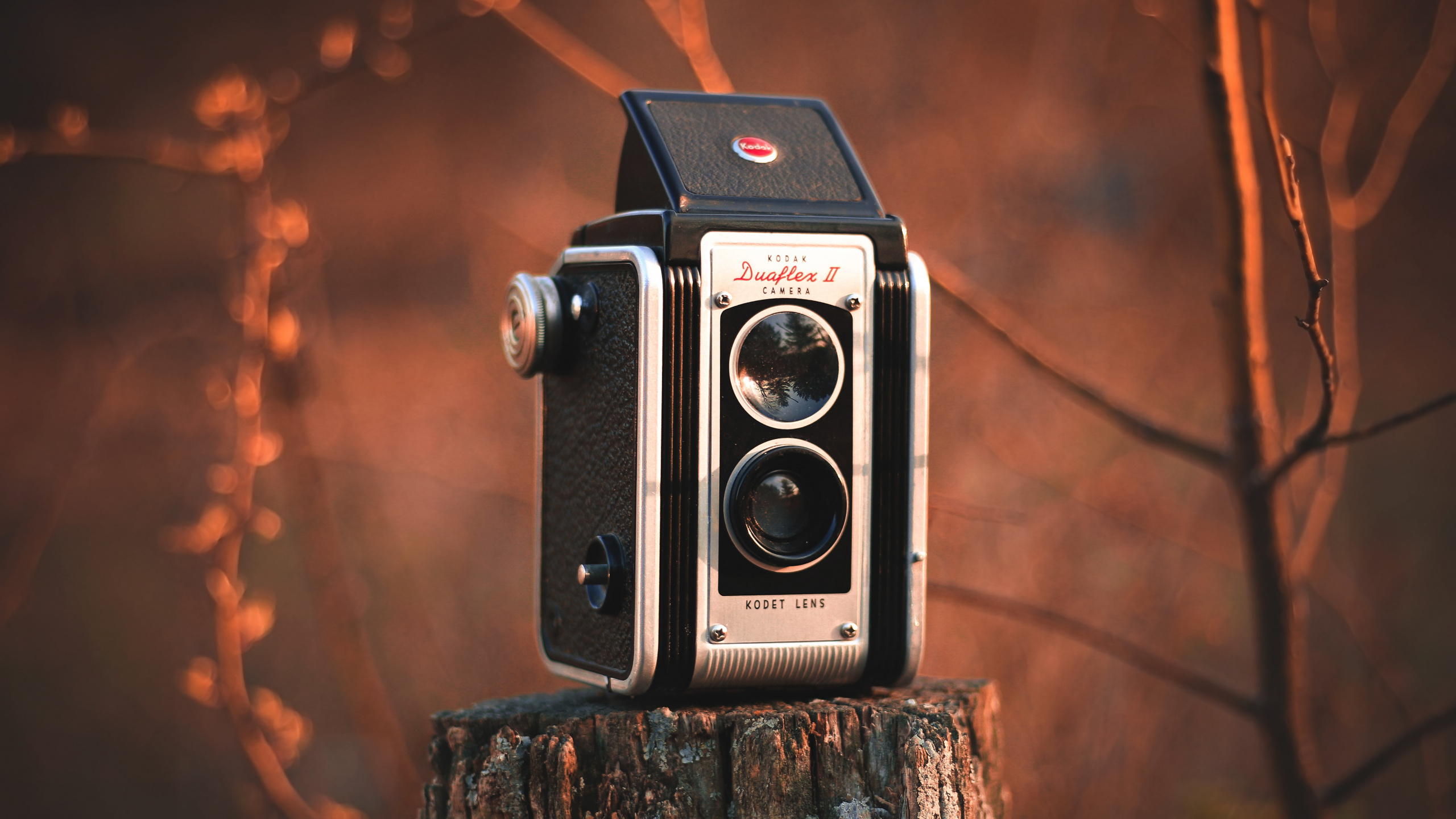 Cámara Negra y Plateada Sobre Tronco de Madera Marrón. Wallpaper in 2560x1440 Resolution