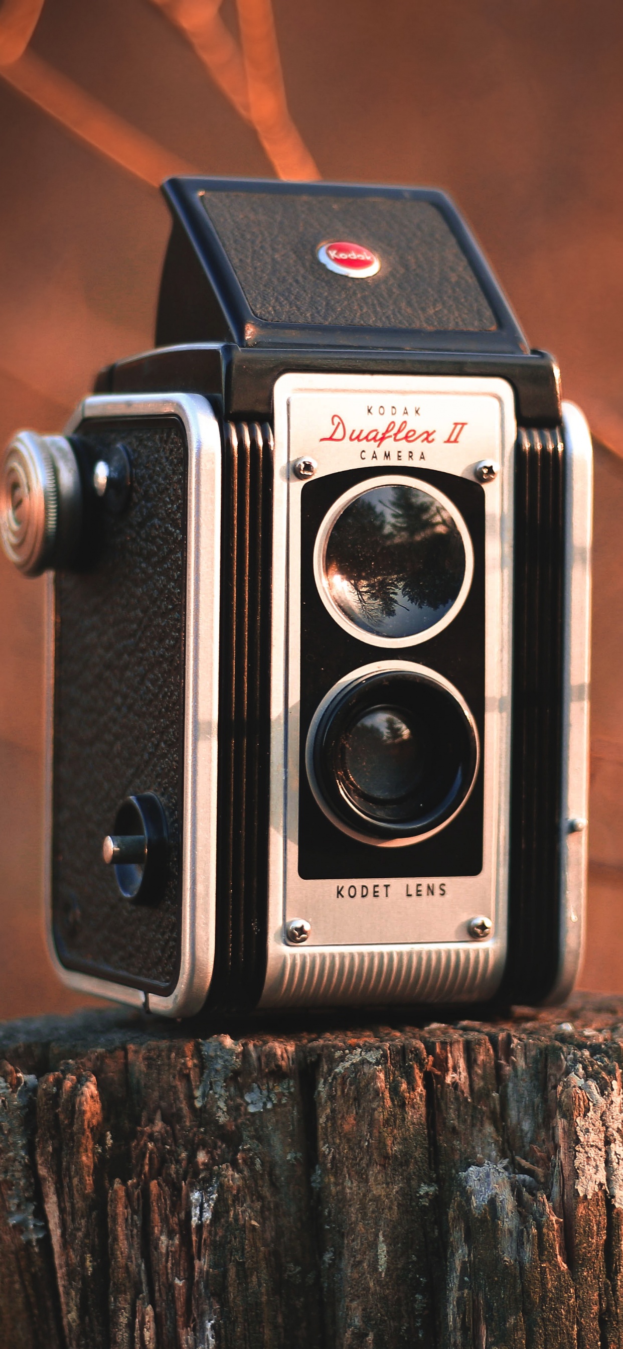 Schwarze Und Silberne Kamera Auf Braunem Holzscheit. Wallpaper in 1242x2688 Resolution