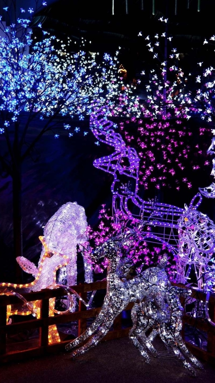 Les Lumières de Noël, Le Jour De Noël, Éclairage, Lumière, Arbre de Noël. Wallpaper in 720x1280 Resolution