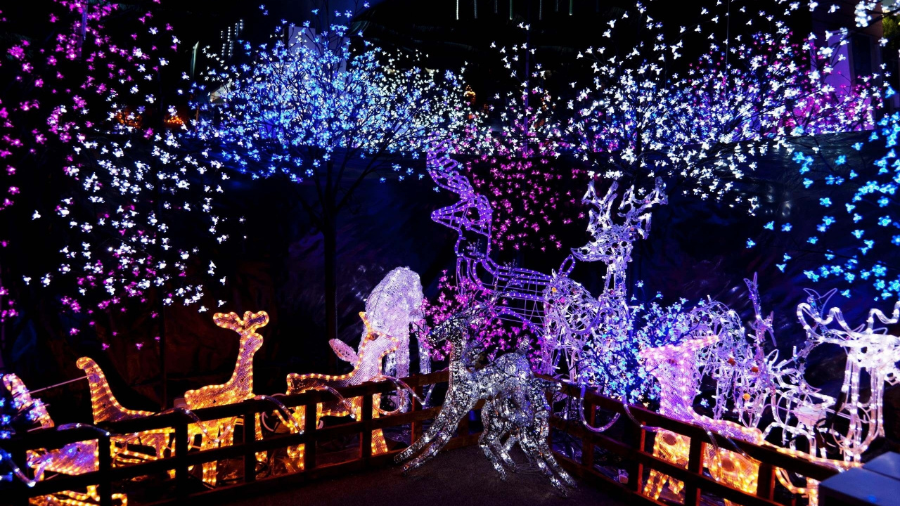 Luces de Navidad, El Día De Navidad, Luz, Decoración de la Navidad, Morado. Wallpaper in 1280x720 Resolution