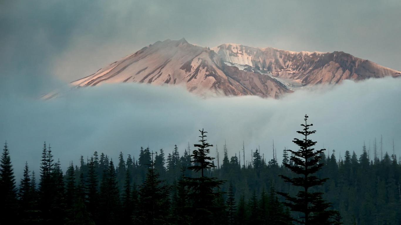 Grüne Bäume in Der Nähe Des Berges Unter Weißen Wolken Tagsüber. Wallpaper in 1366x768 Resolution