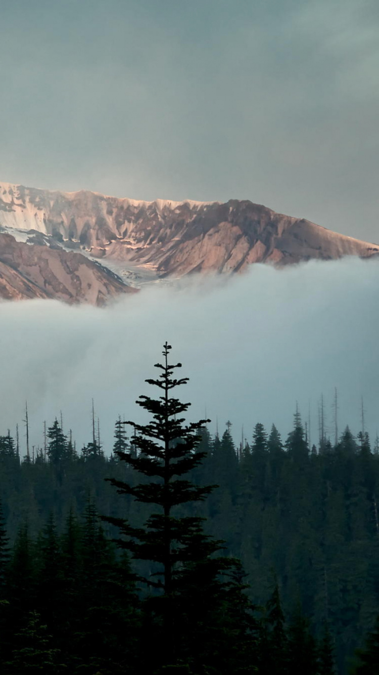 Grüne Bäume in Der Nähe Des Berges Unter Weißen Wolken Tagsüber. Wallpaper in 750x1334 Resolution