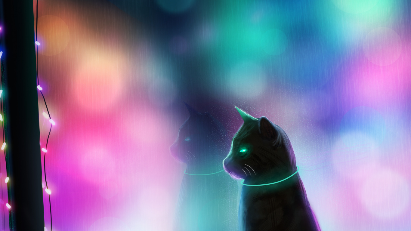 Chat Blanc Sur Cadre en Bois Marron. Wallpaper in 1366x768 Resolution