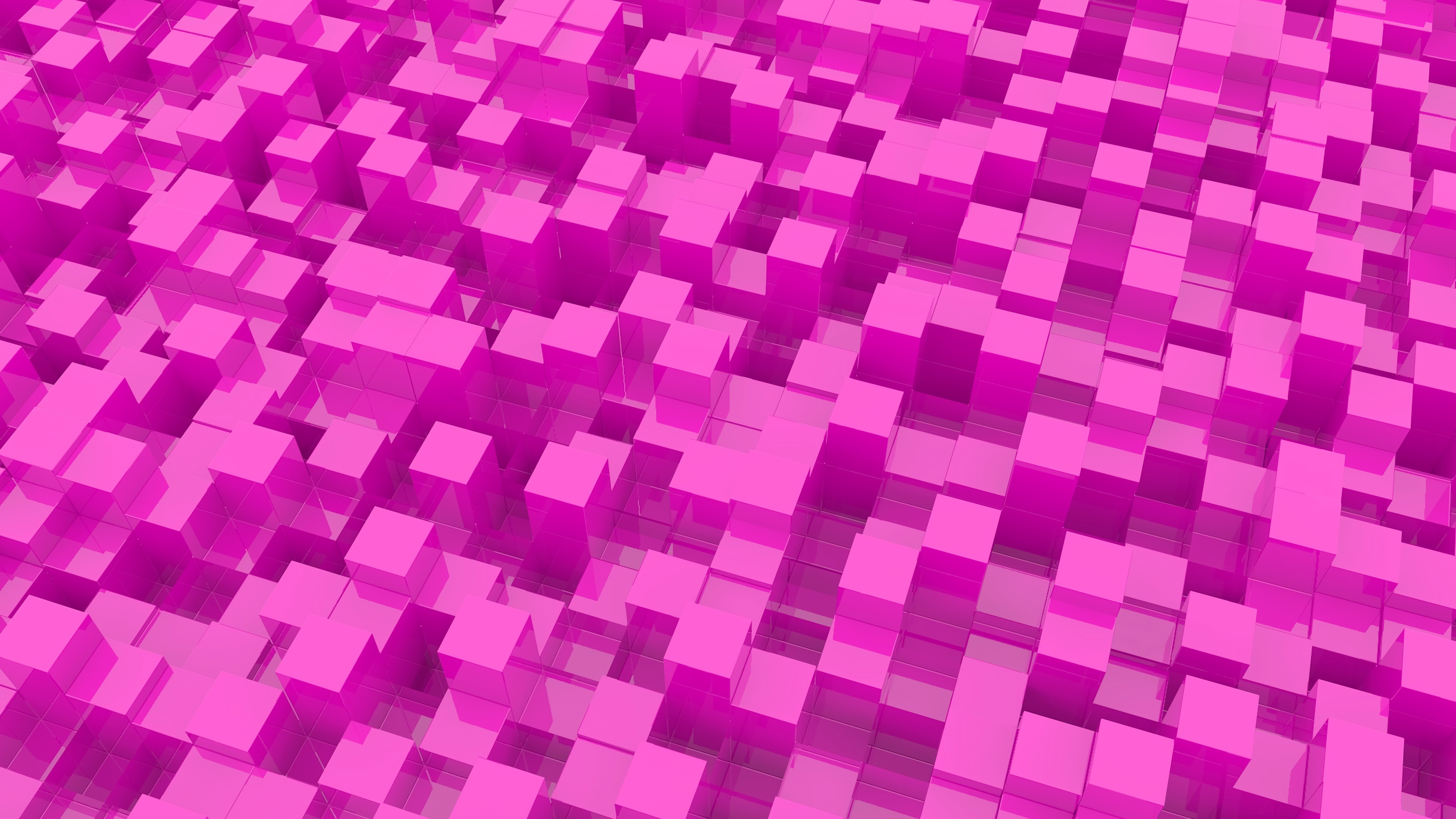 Violette, Purple, Pink, Magenta, Lilas. Wallpaper in 3840x2160 Resolution