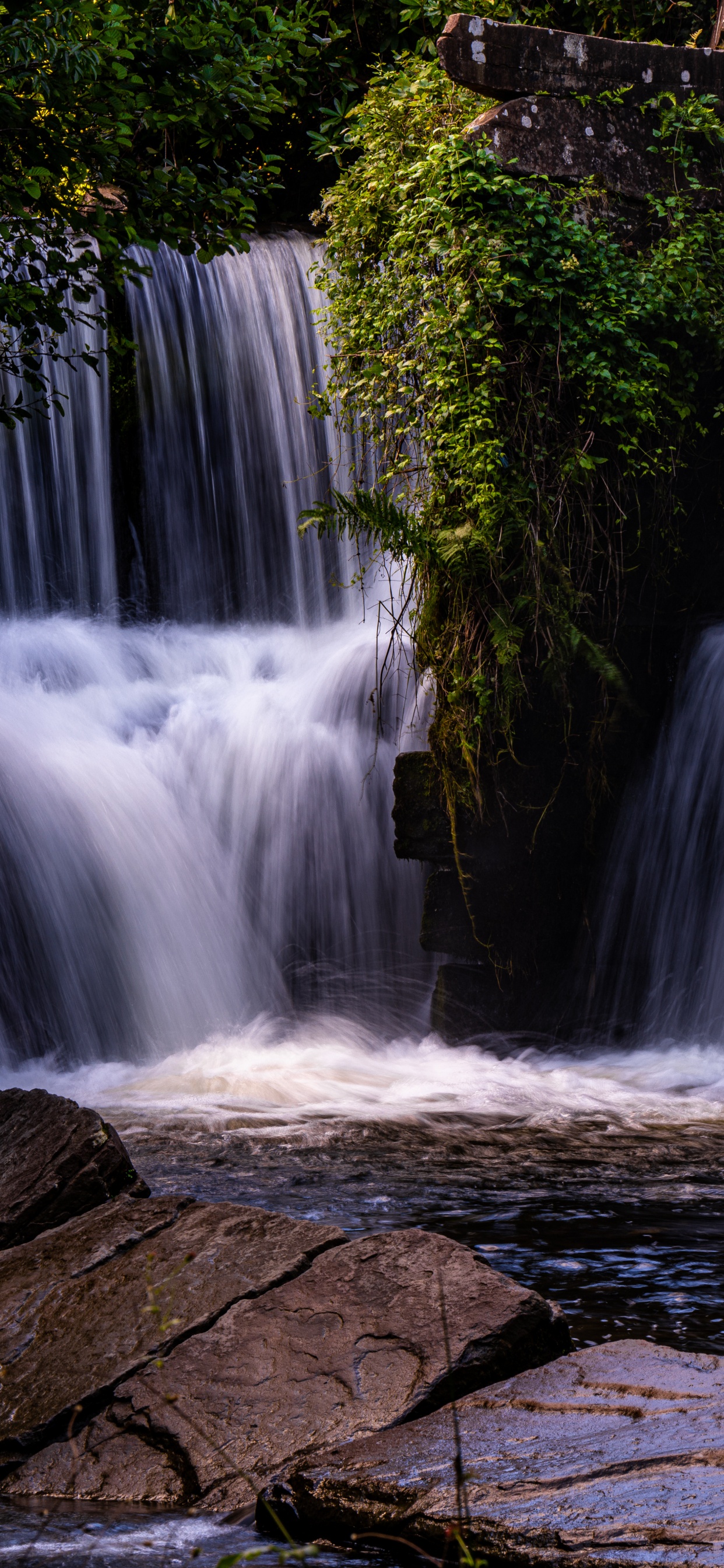 Cascada, Naturaleza, Agua, Río, Paisaje Natural. Wallpaper in 1242x2688 Resolution