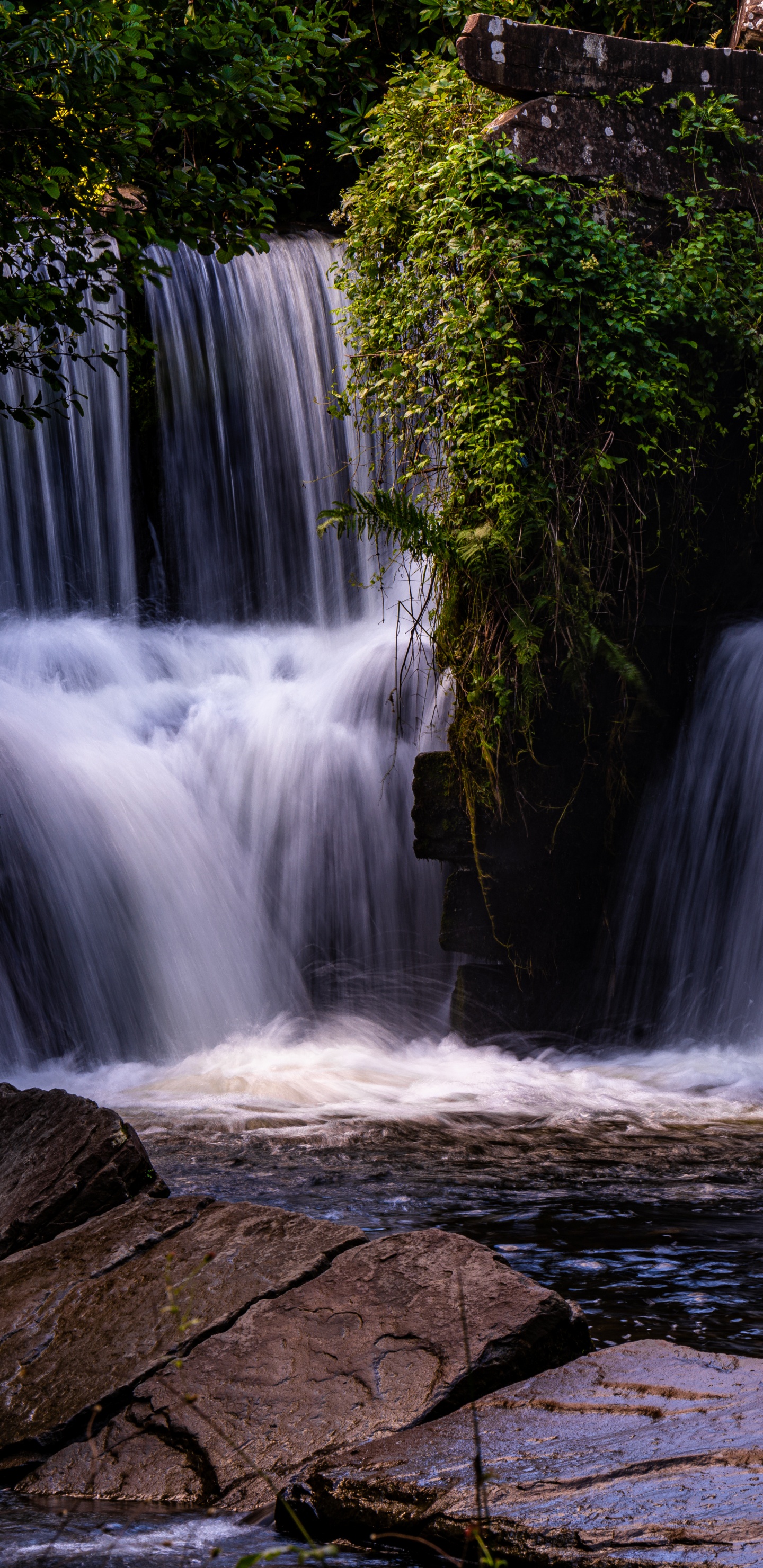 Waterfall, Nature, Water, River, Landscape. Wallpaper in 1440x2960 Resolution