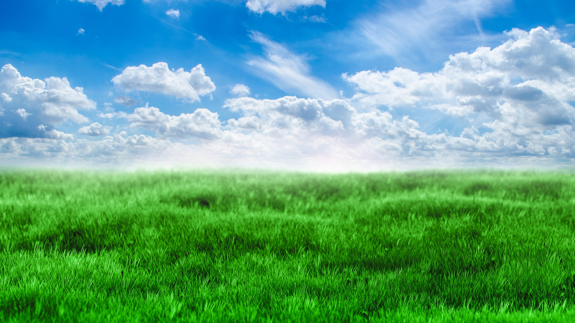 Campo de Hierba Verde Bajo un Cielo Azul y Nubes Blancas Durante el Día. Wallpaper in 1920x1080 Resolution