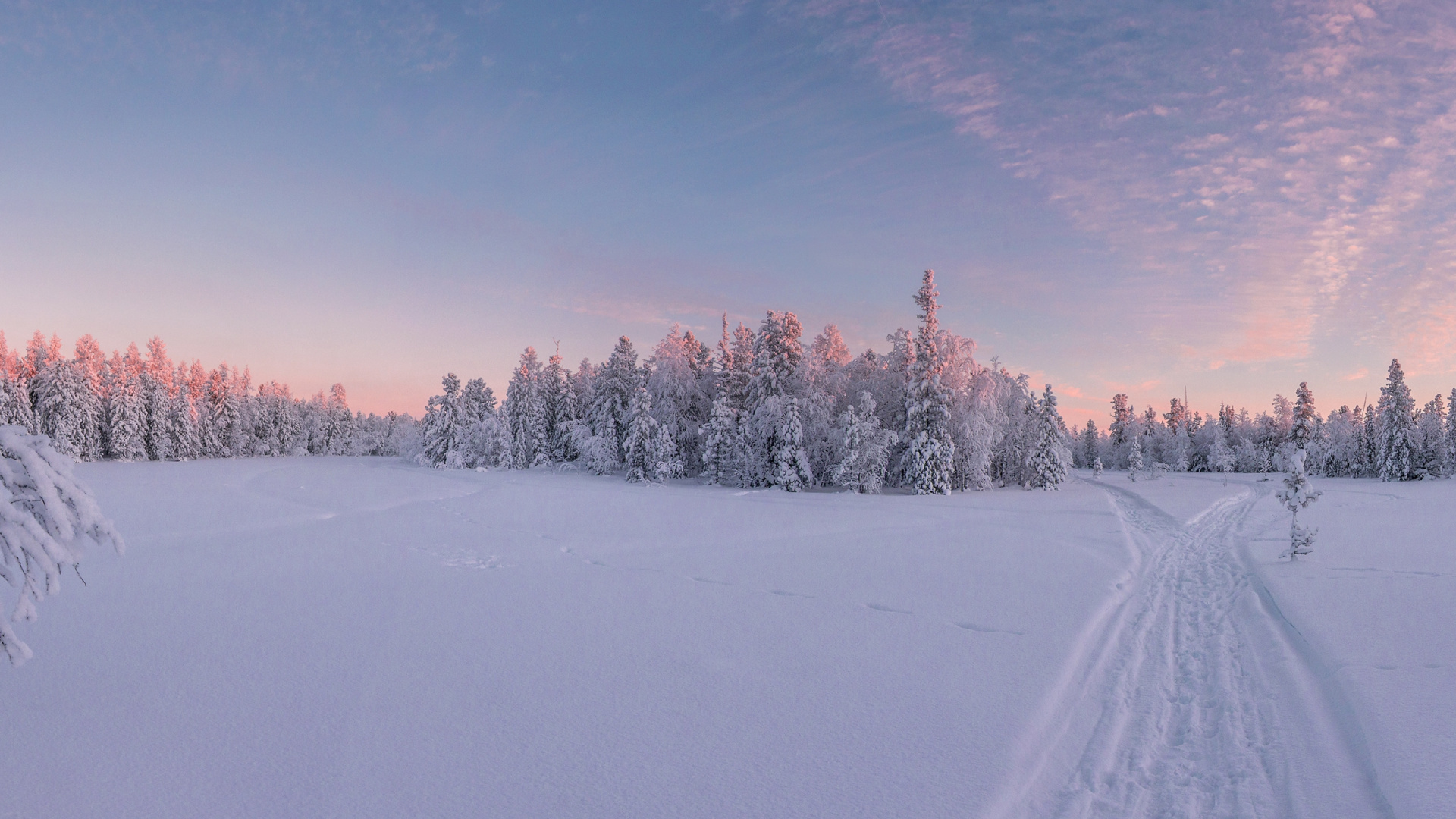 Hiver, Nature, Blue, la Journée, Environnement Naturel. Wallpaper in 1920x1080 Resolution