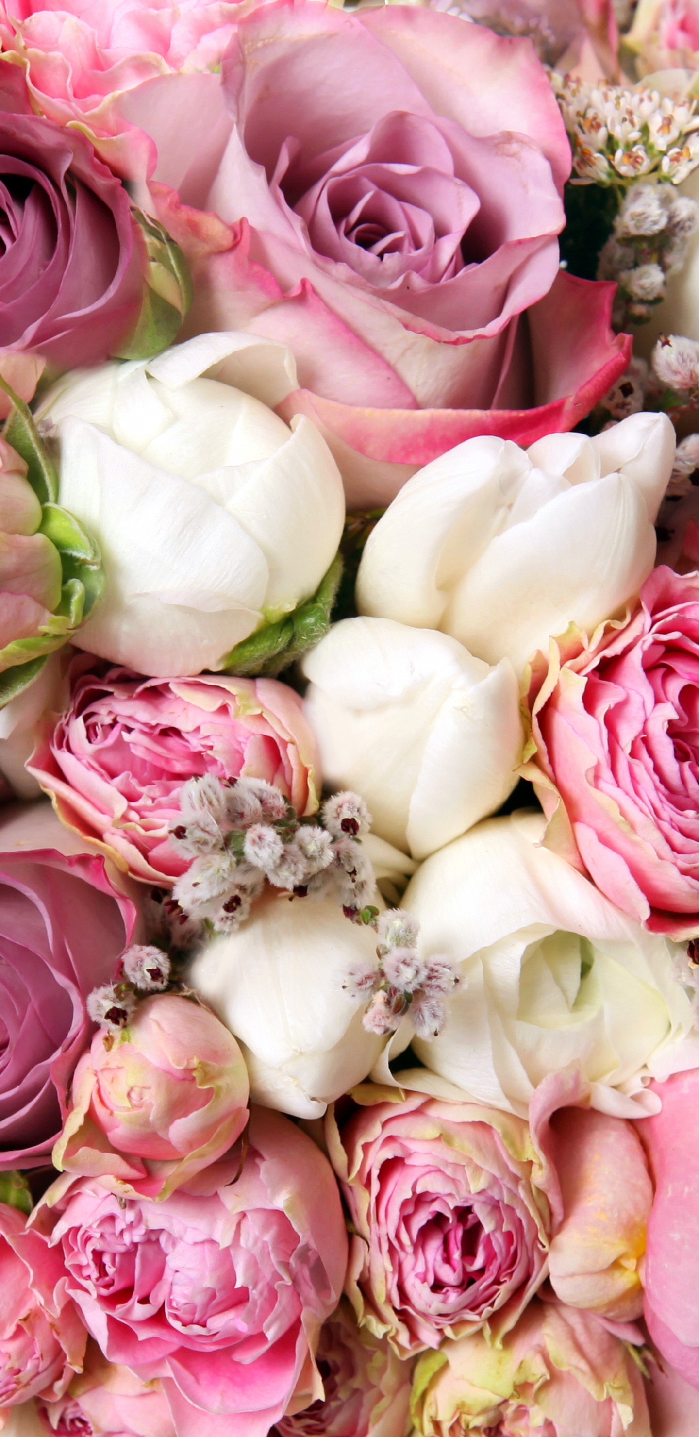 Bouquet de Roses Roses et Blanches. Wallpaper in 1440x2960 Resolution
