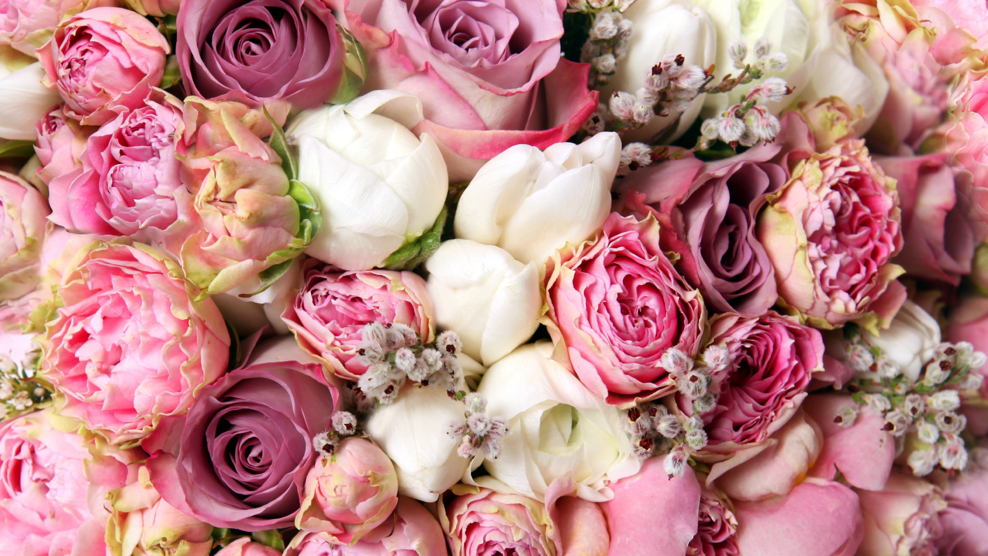 Pink and White Roses Bouquet. Wallpaper in 1920x1080 Resolution