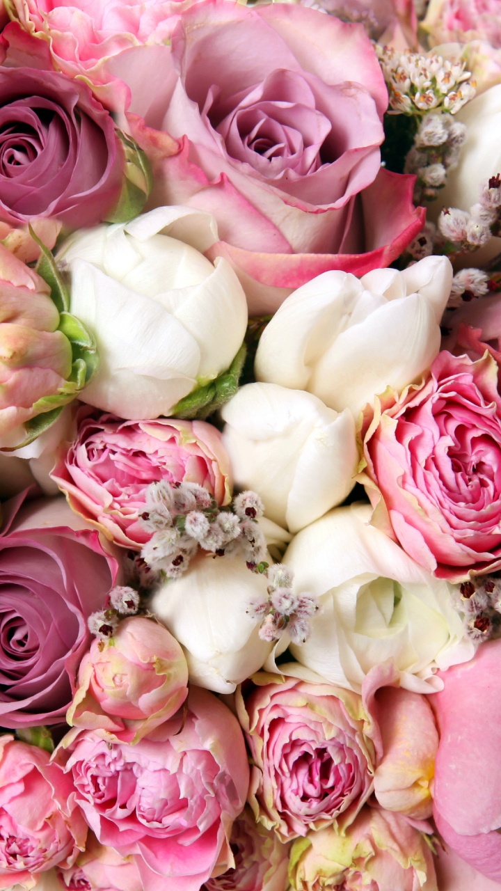 Pink and White Roses Bouquet. Wallpaper in 720x1280 Resolution