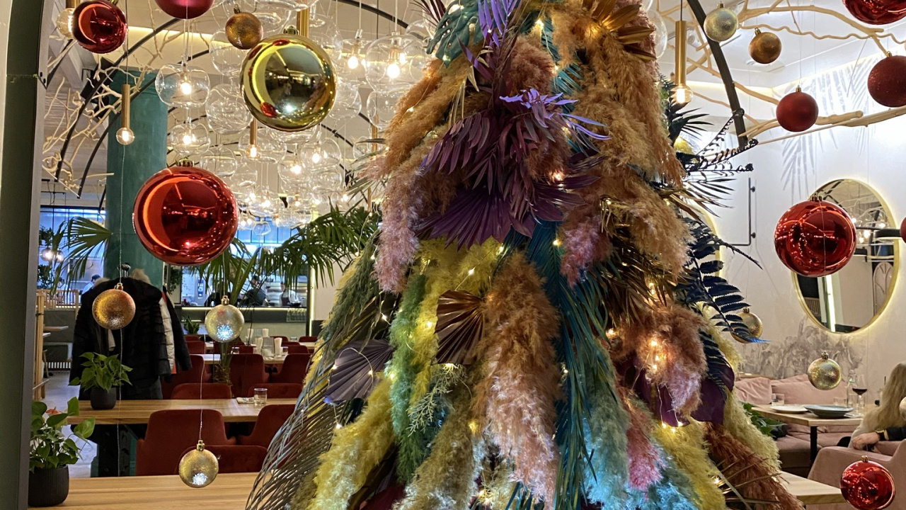 Christmas Tree, Christmas Day, Tree, Science, Biology. Wallpaper in 1280x720 Resolution