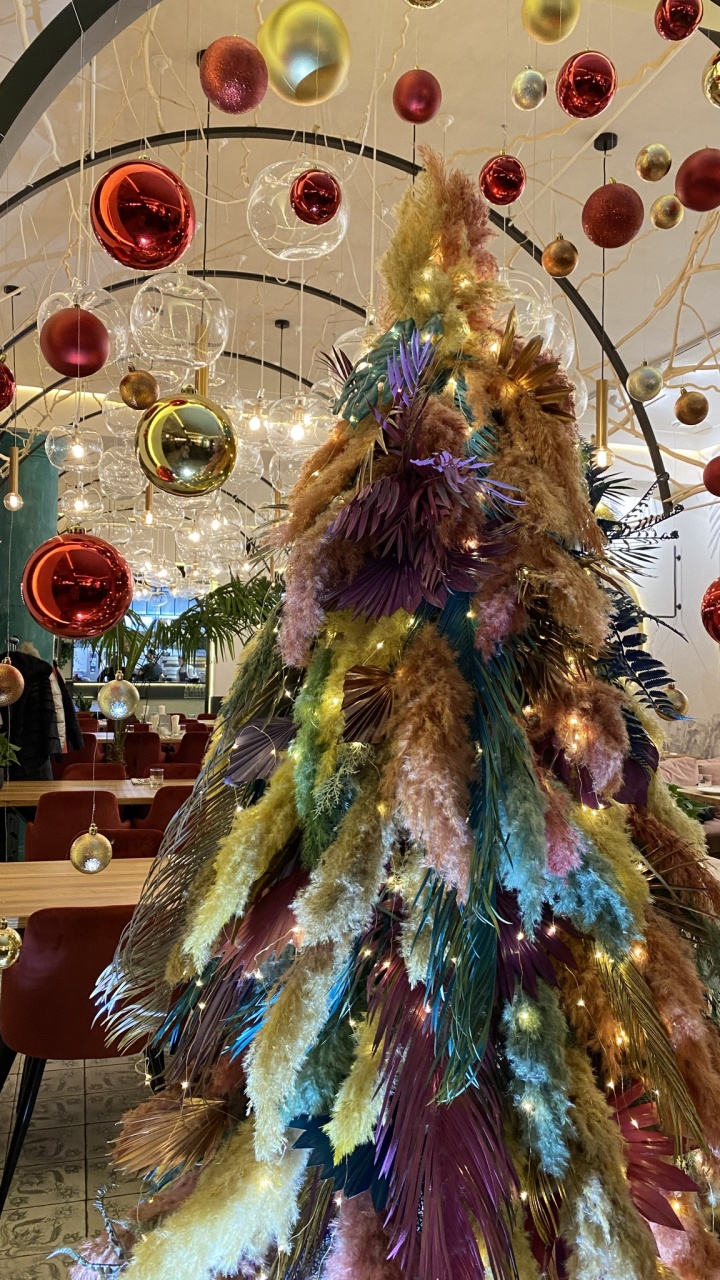 Weihnachtsbaum, Weihnachten, Baum, Wissenschaft, Biologie. Wallpaper in 720x1280 Resolution