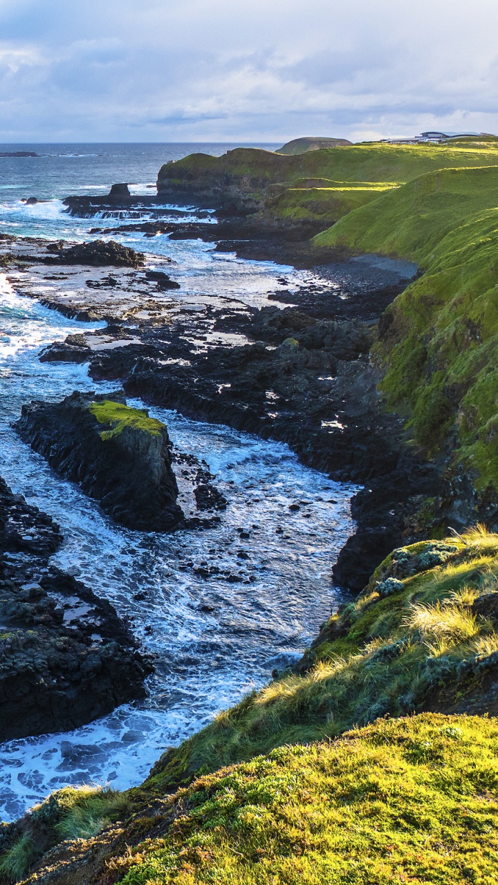 Green and Brown Rock Formation on Sea During Daytime. Wallpaper in 720x1280 Resolution