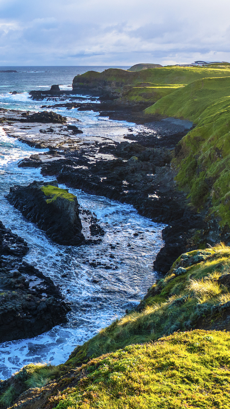 Green and Brown Rock Formation on Sea During Daytime. Wallpaper in 750x1334 Resolution