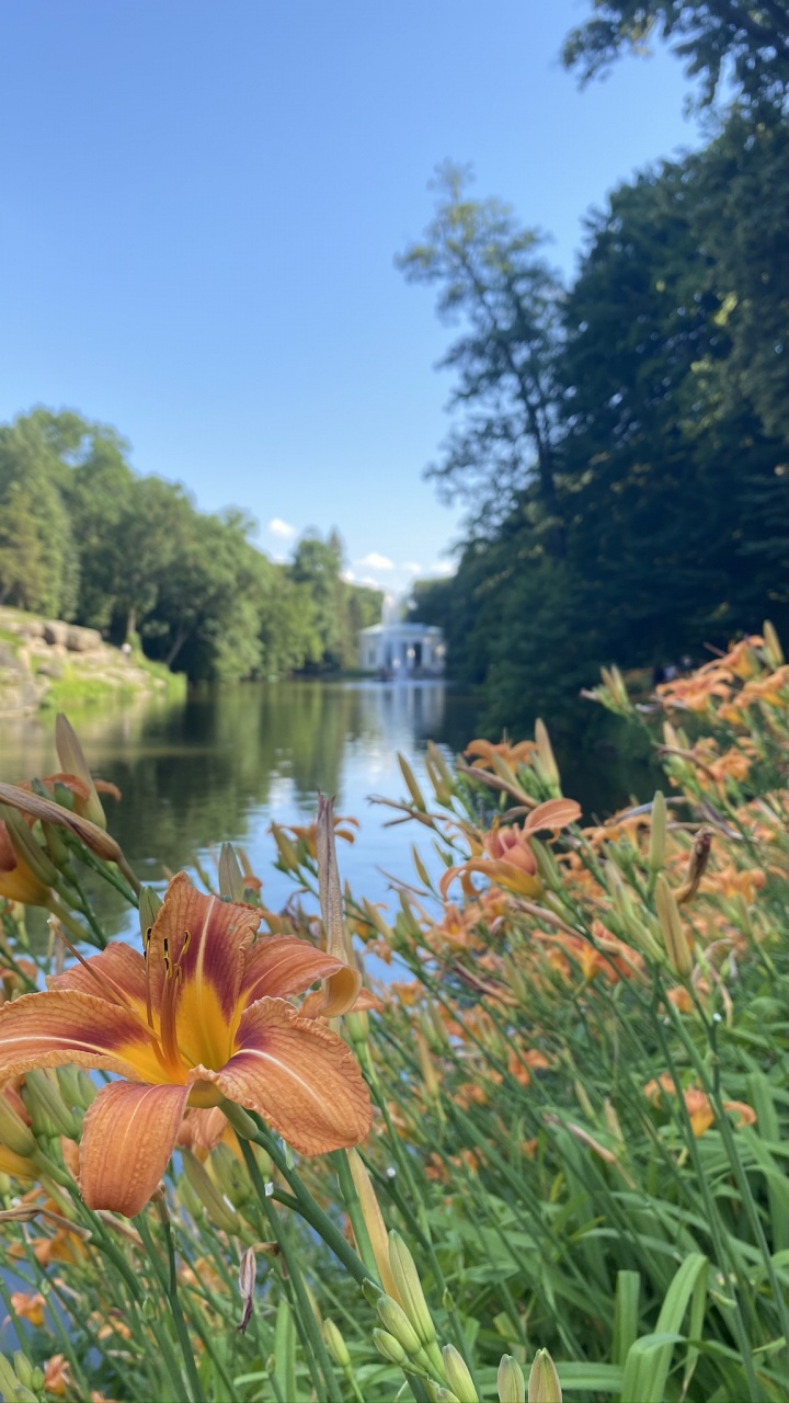 Natur, Gewässer, Naturlandschaft, Wasserstraße, Bank. Wallpaper in 720x1280 Resolution