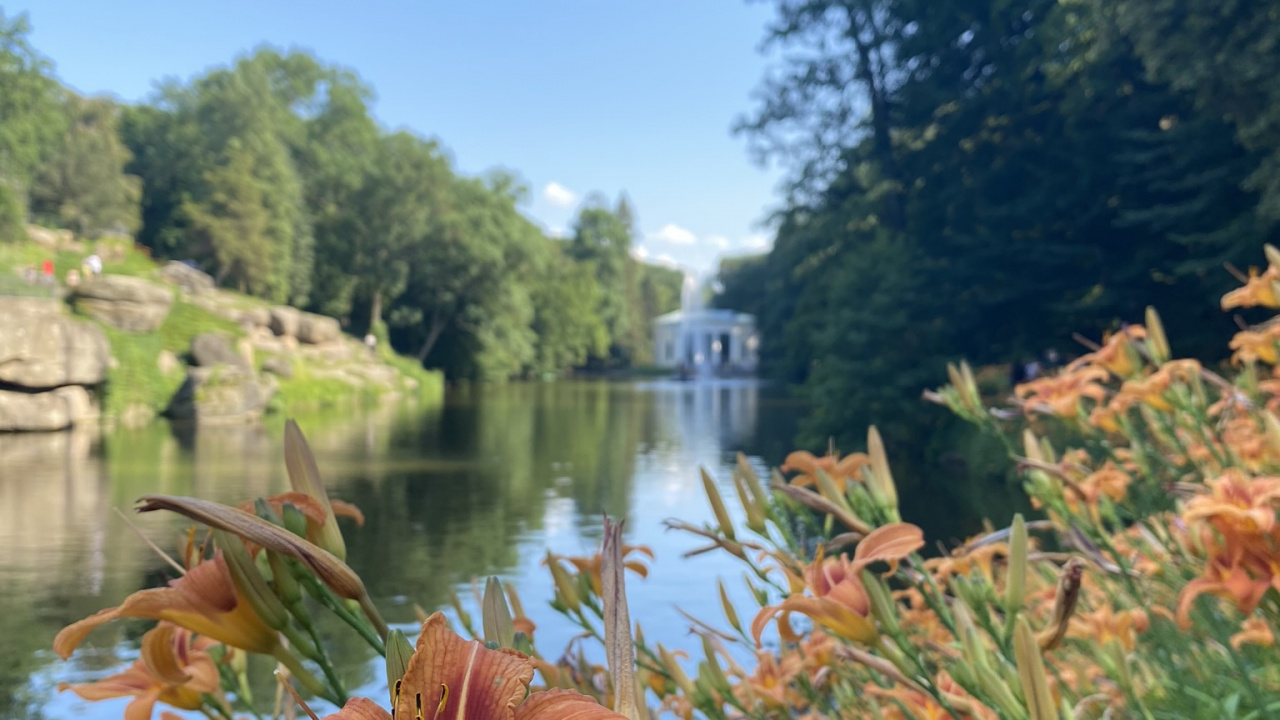 Nature, Body of Water, Plant, Natural Landscape, Waterway. Wallpaper in 1280x720 Resolution