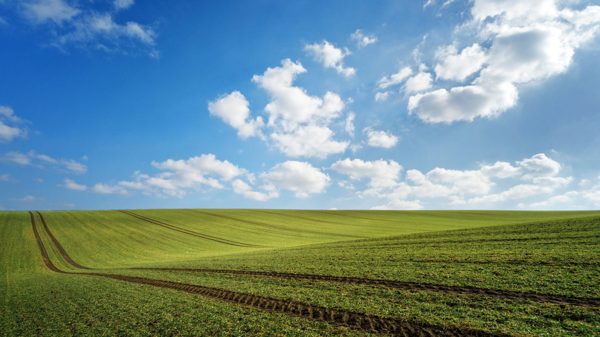 Tagsüber Grüne Wiese Unter Blauem Himmel. Wallpaper in 1920x1080 Resolution
